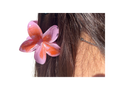 Hair Clip, Tropical Flower Hair Accessory, Floral Barrette, Hawaiian Hair Clip, Summer Hair Gift
